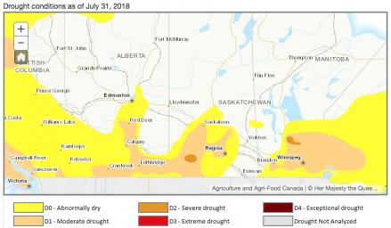 Alberta Drought Map