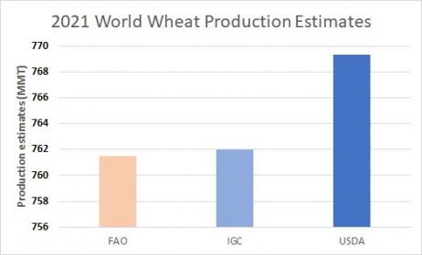 US Wheat exports and crop conditions | Agriville.com